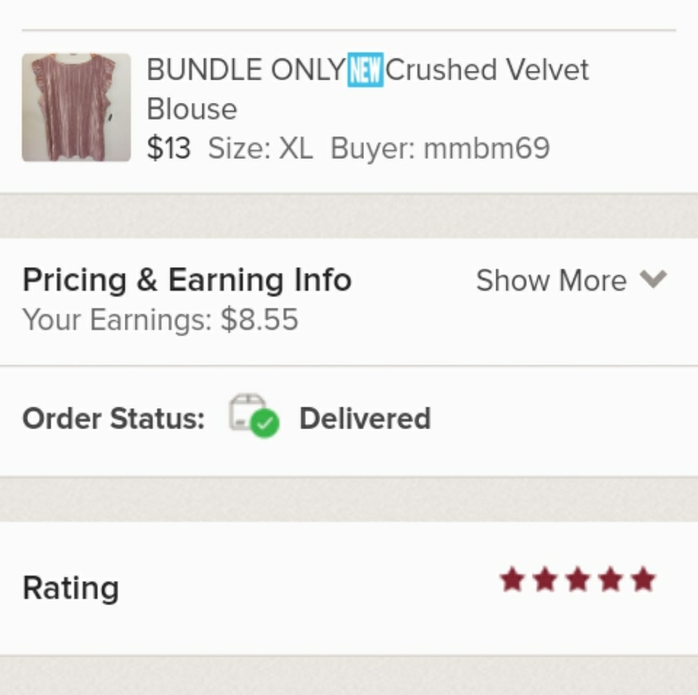 BUNDLE ONLY🆕Crushed Velvet Blouse - Picture 6 of 6